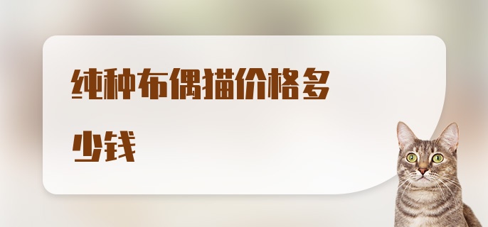 纯种布偶猫价格多少钱