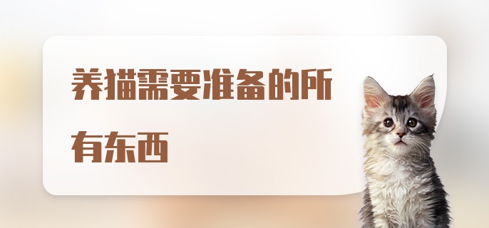 养猫需要准备的所有东西