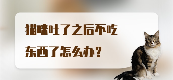 猫咪吐了之后不吃东西了怎么办？