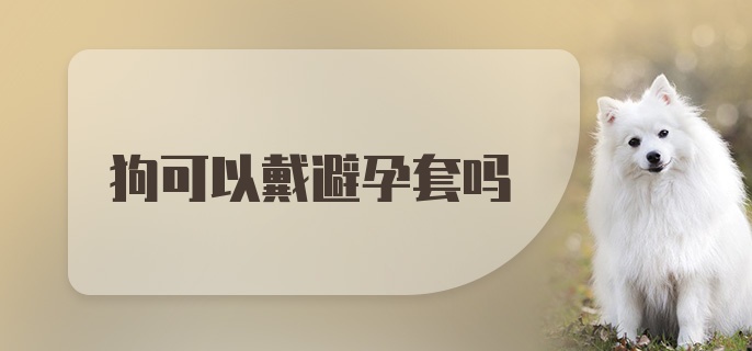 狗可以戴避孕套吗