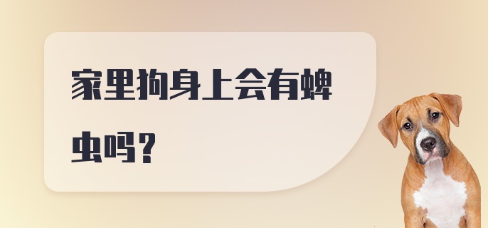 家里狗身上会有蜱虫吗？