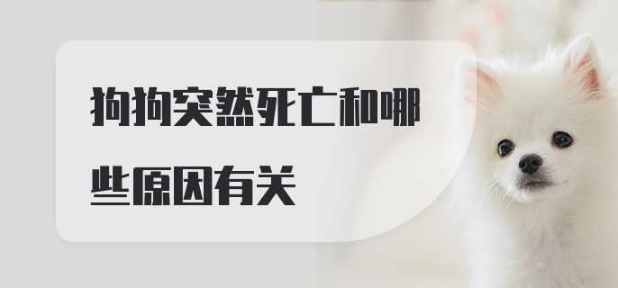 狗狗突然死亡和哪些原因有关