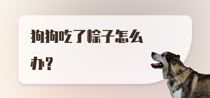 狗狗吃了粽子怎么办?