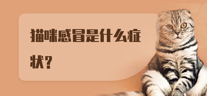 猫咪感冒是什么症状?