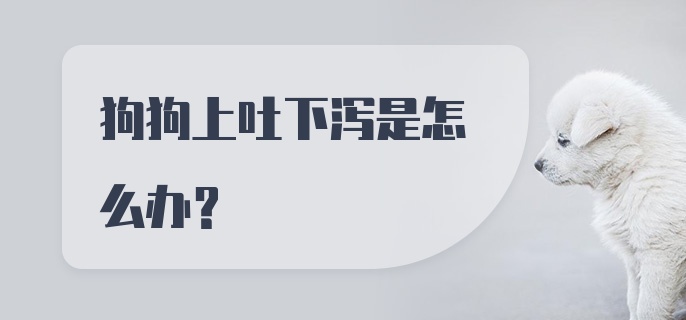 狗狗上吐下泻是怎么办？