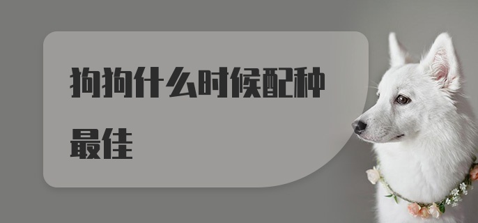 狗狗什么时候配种最佳