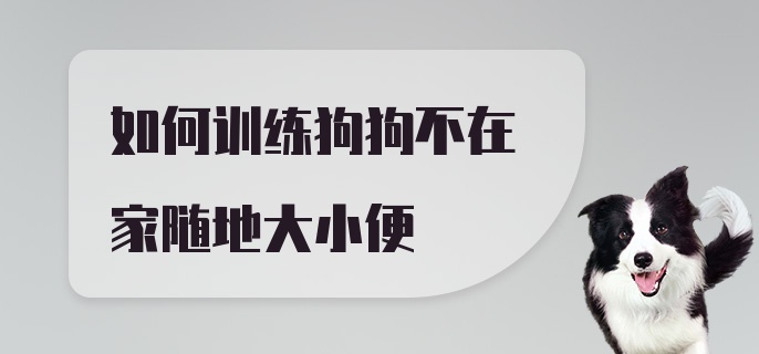 如何训练狗狗不在家随地大小便