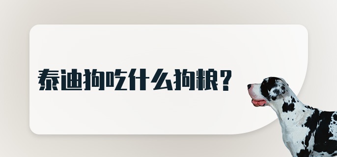 泰迪狗吃什么狗粮？