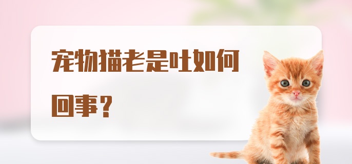 宠物猫老是吐如何回事？