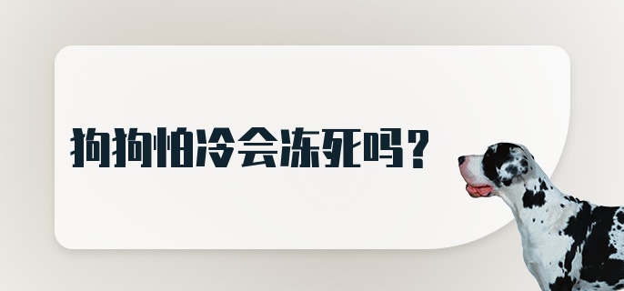 狗狗怕冷会冻死吗？