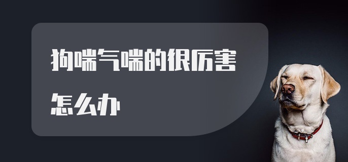 狗喘气喘的很厉害怎么办