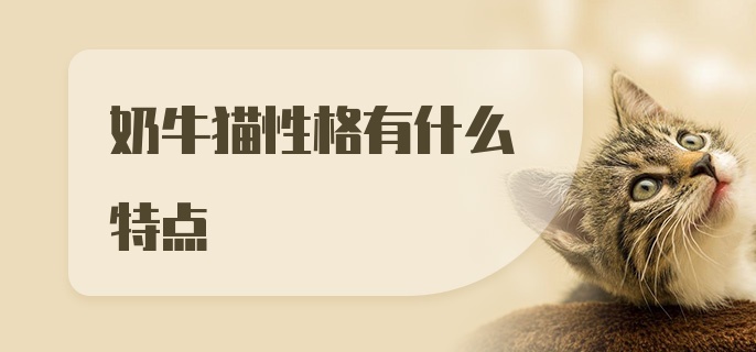 奶牛猫性格有什么特点