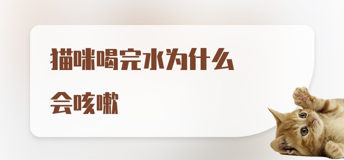 猫咪喝完水为什么会咳嗽