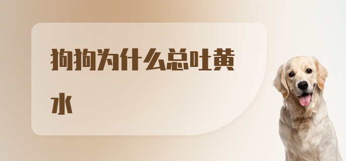 狗狗为什么总吐黄水