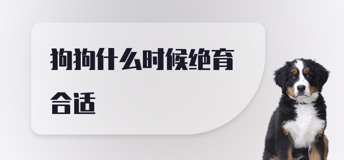 狗狗什么时候绝育合适