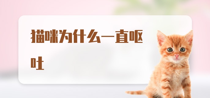 猫咪为什么一直呕吐