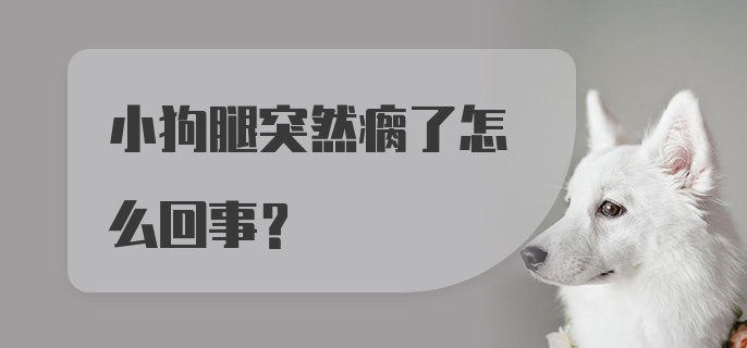 小狗腿突然瘸了怎么回事？