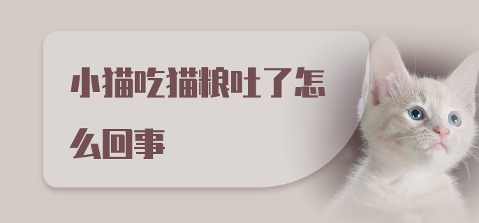 小猫吃猫粮吐了怎么回事