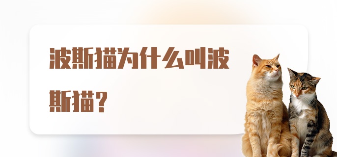 波斯猫为什么叫波斯猫？