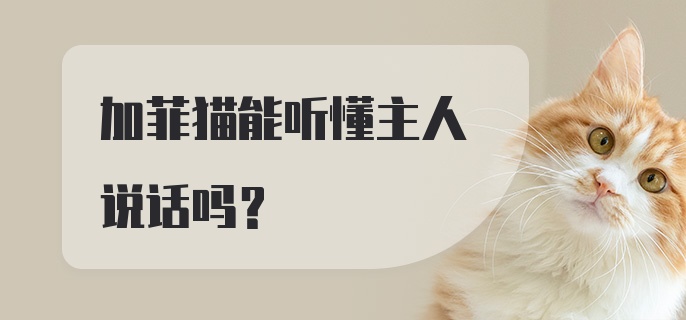 加菲猫能听懂主人说话吗？