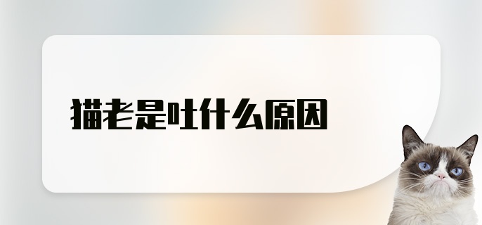 猫老是吐什么原因