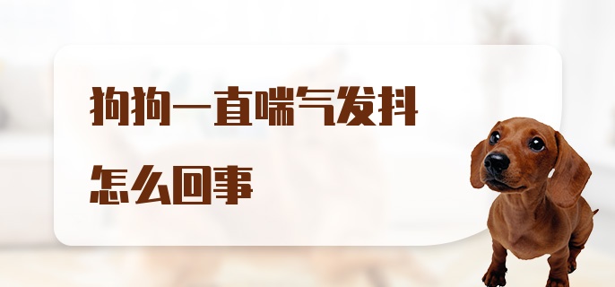 狗狗一直喘气发抖怎么回事