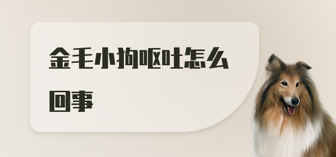 金毛小狗呕吐怎么回事