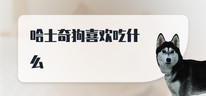 哈士奇狗喜欢吃什么