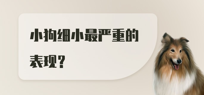 小狗细小最严重的表现？