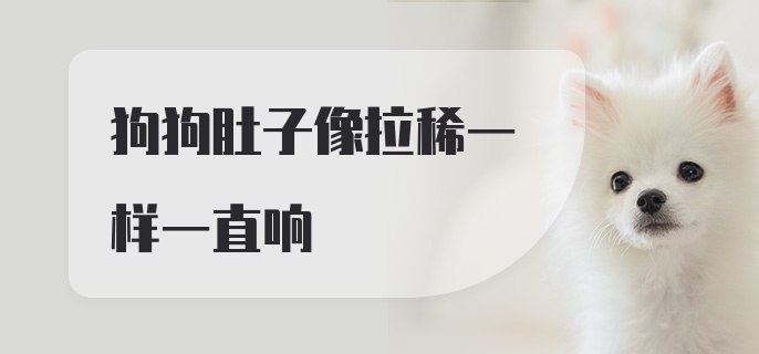 狗狗肚子像拉稀一样一直响