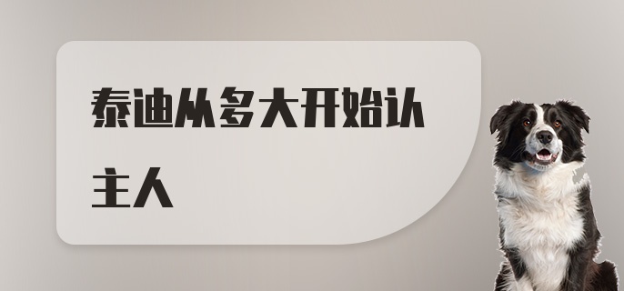 泰迪从多大开始认主人