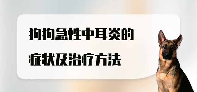 狗狗急性中耳炎的症状及治疗方法