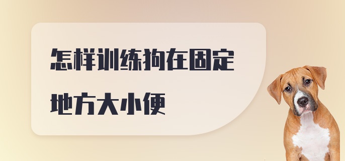 怎样训练狗在固定地方大小便