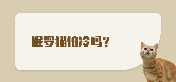 暹罗猫怕冷吗?