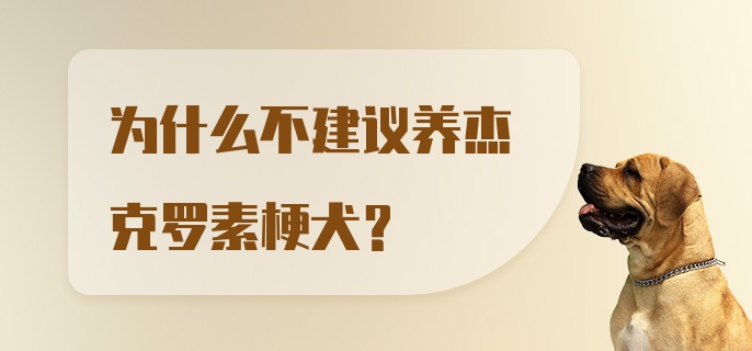 为什么不建议养杰克罗素梗犬？