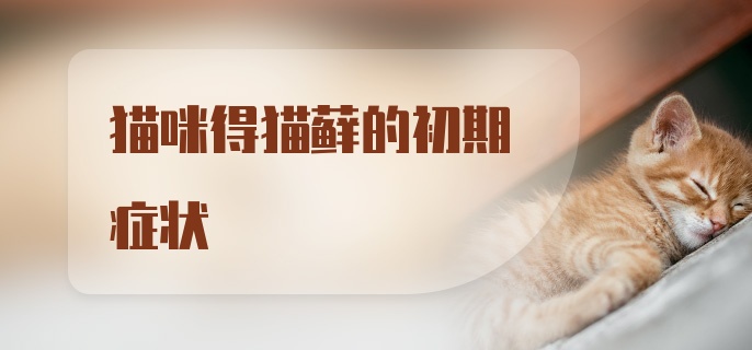 猫咪得猫藓的初期症状