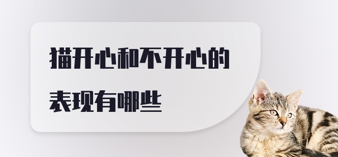 猫开心和不开心的表现有哪些