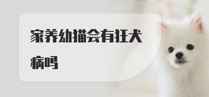 家养幼猫会有狂犬病吗