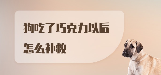 狗吃了巧克力以后怎么补救