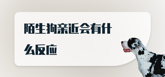 陌生狗亲近会有什么反应