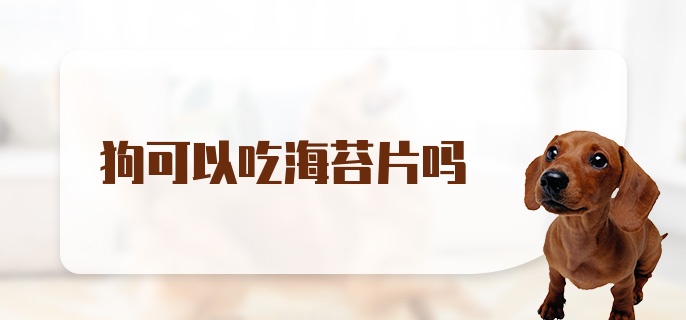 狗可以吃海苔片吗