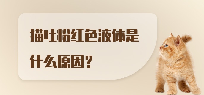 猫吐粉红色液体是什么原因?