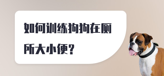 如何训练狗狗在厕所大小便？