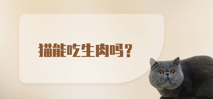 猫能吃生肉吗？