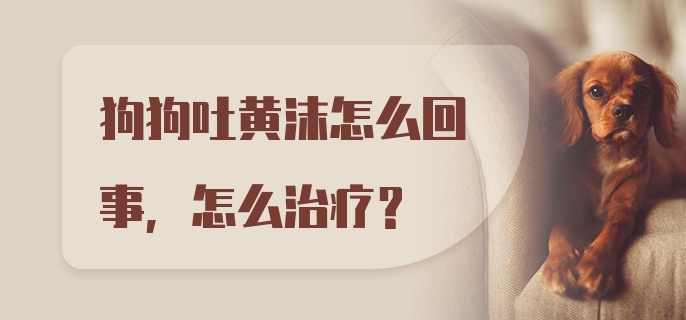 狗狗吐黄沫怎么回事,怎么治疗？