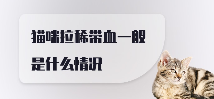 猫咪拉稀带血一般是什么情况