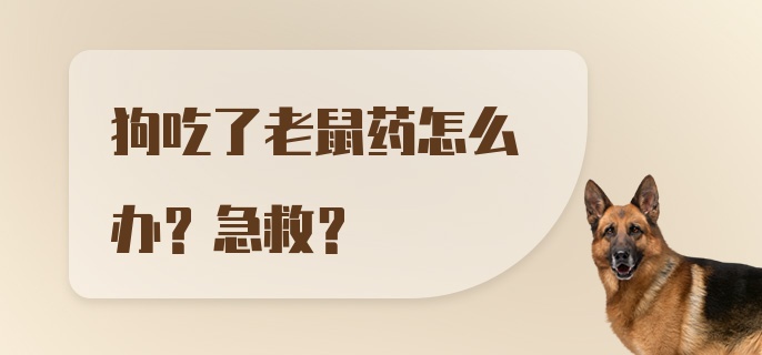 狗吃了老鼠药怎么办？急救?