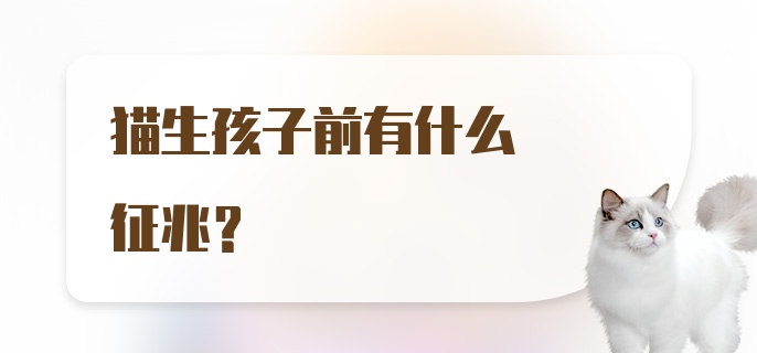 猫生孩子前有什么征兆？