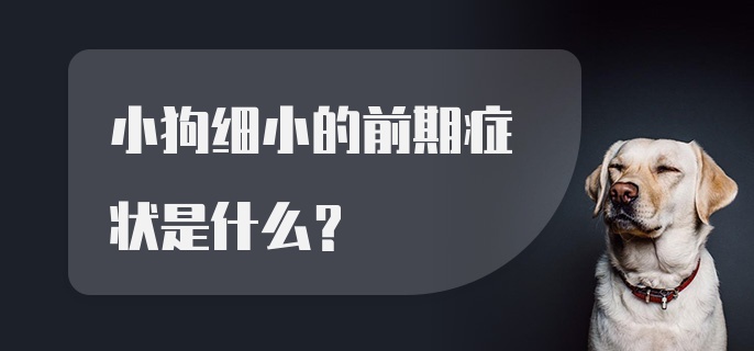 小狗细小的前期症状是什么？