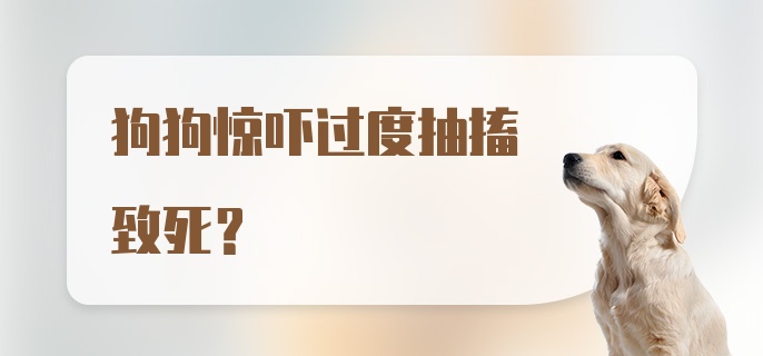 狗狗惊吓过度抽搐致死？